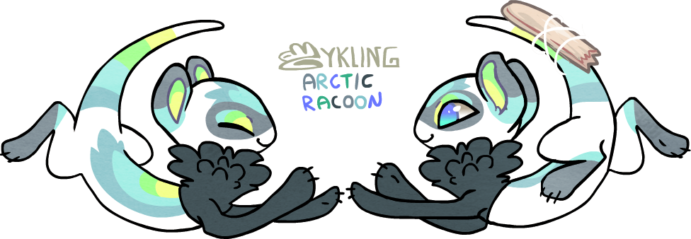 M6 Mykling_Arctic racoon CLOSED