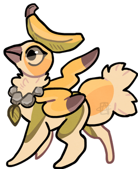 Musa