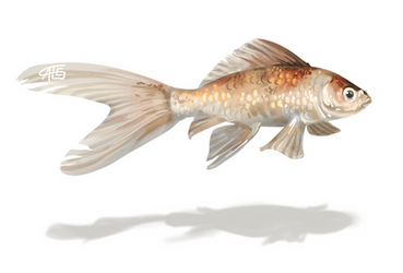 Goldfish Speedpaint - video included