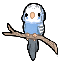 Lil budgie