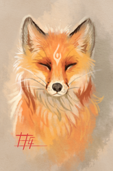 The fox