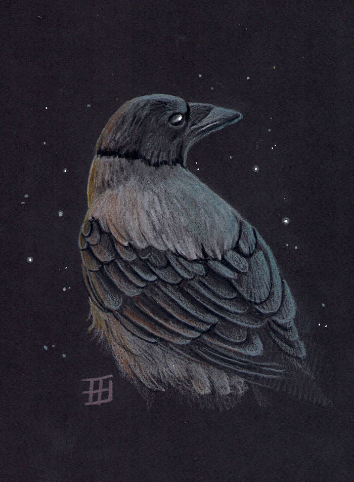 Crow by griffsnuff on DeviantArt