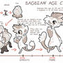 Bagbean - AGE chart