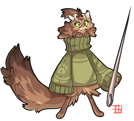 #303 Bavom - Ninja - American Curl