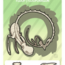 GIC - Griffian Info Card - Skeleton Floopdragon