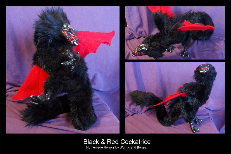 Black and Red Cockatrice