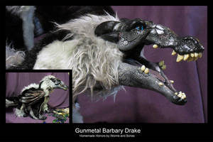 Gunmetal Barbary Drake Mouth Close-Up