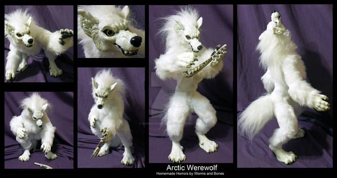 Arctic Werewolf