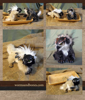 Chickadee and Great Horned Owl Gryphon Kittens