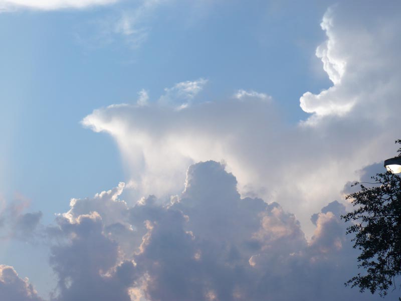 Polar Bear Cloud