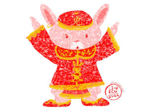 Year of the Rabbit fancy suit
