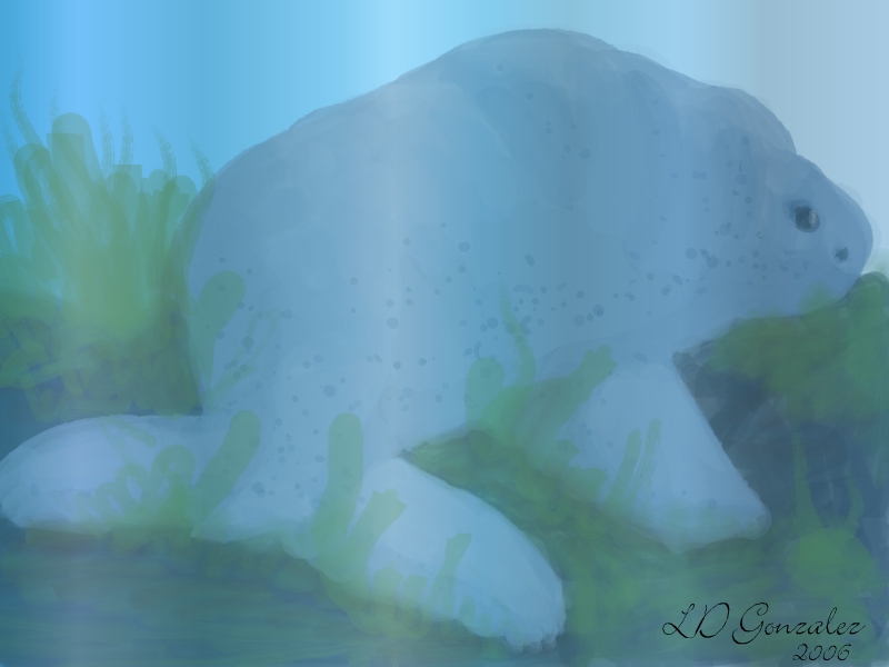 Manatee