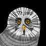Gray Owl