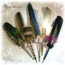 Feather Pens of the Week A