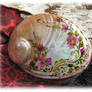 Faery Star White Abalone Shell