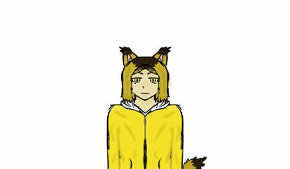 Yellow:Kenma Kozume