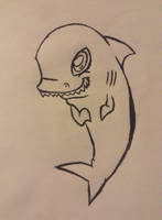 Shark :3