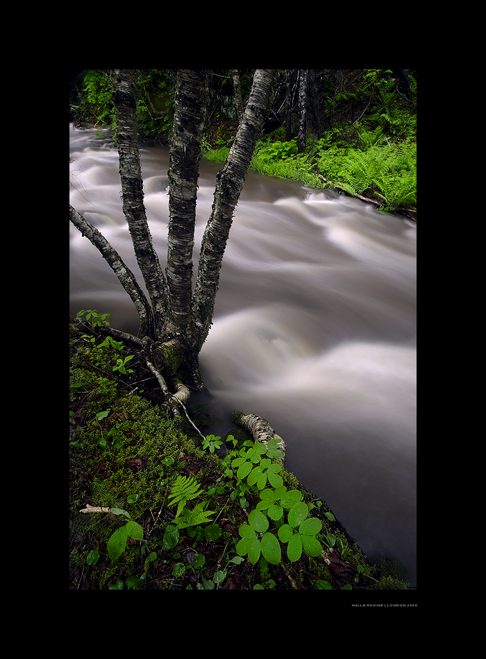 Halls Ravine by londonxpress