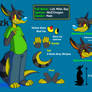 Reference Sheet: Lizk