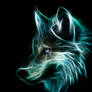 Wild Wolf