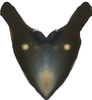 Head III
