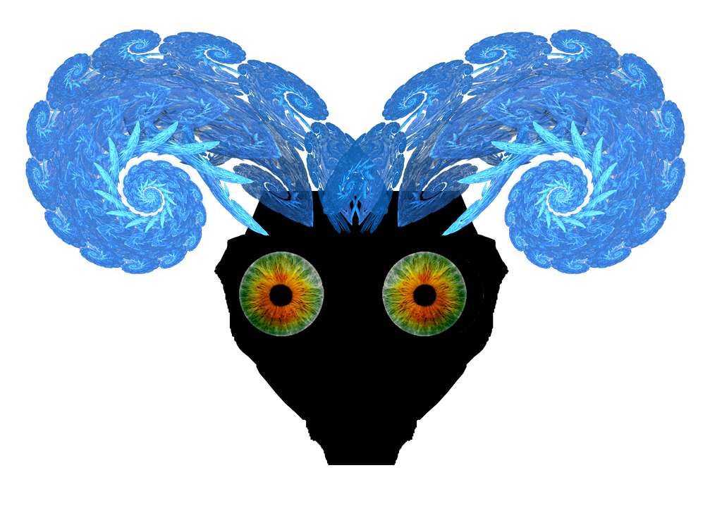 Head IV: Gqrxais