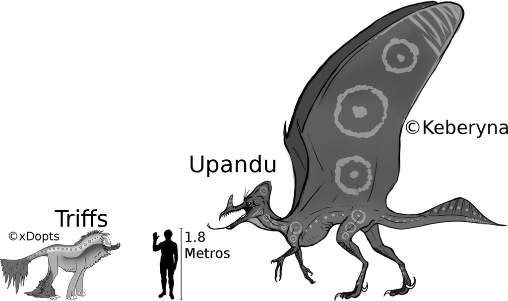 Size comparison: Upandu-Triffs-Humans