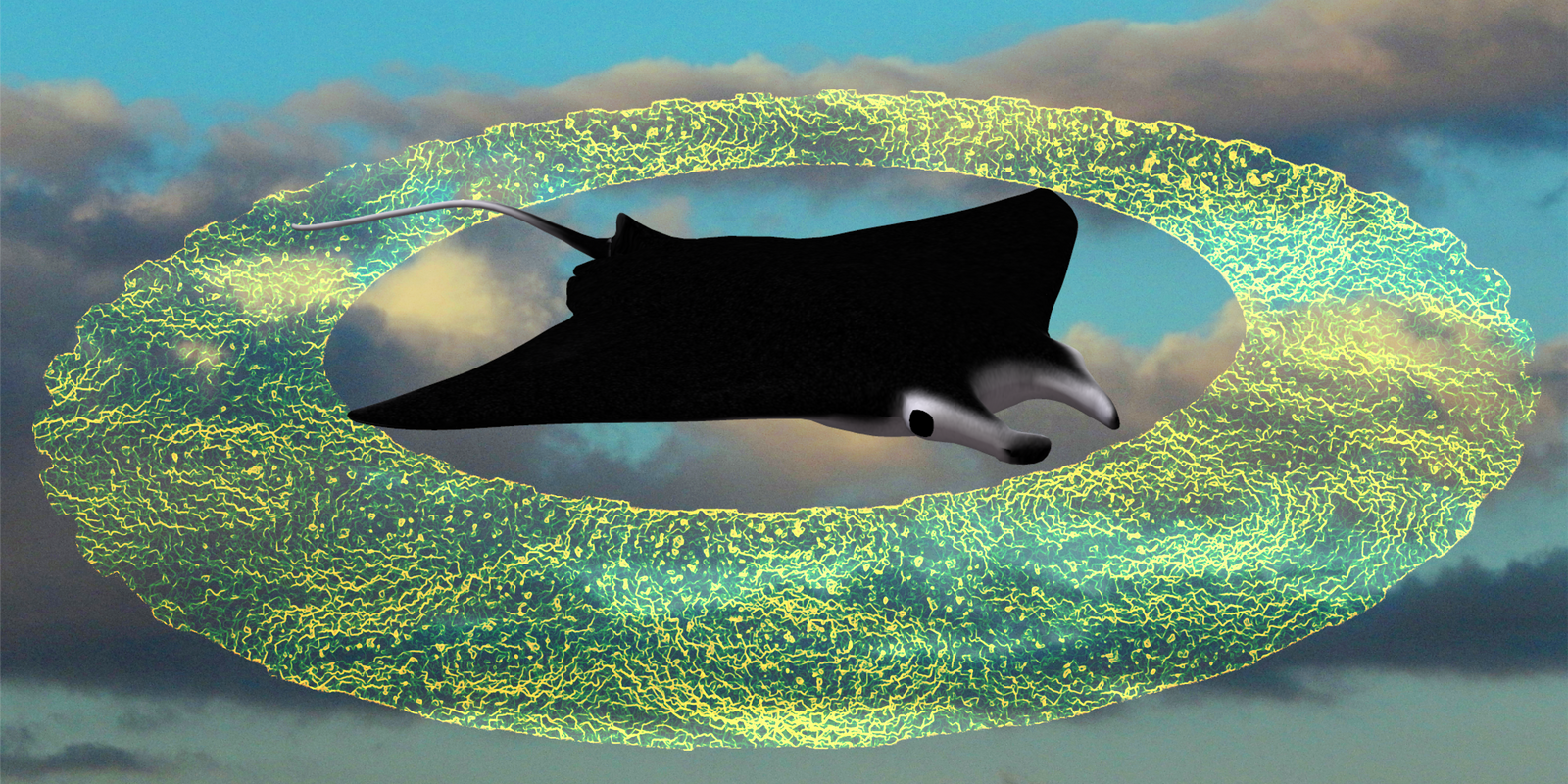 Las Mantarrayas de Noamu by Jakeukalane