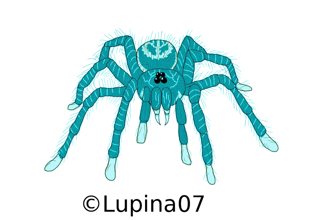 Las Aranhas Gigantes Turquesas de Vanaamaxili by Jakeukalane