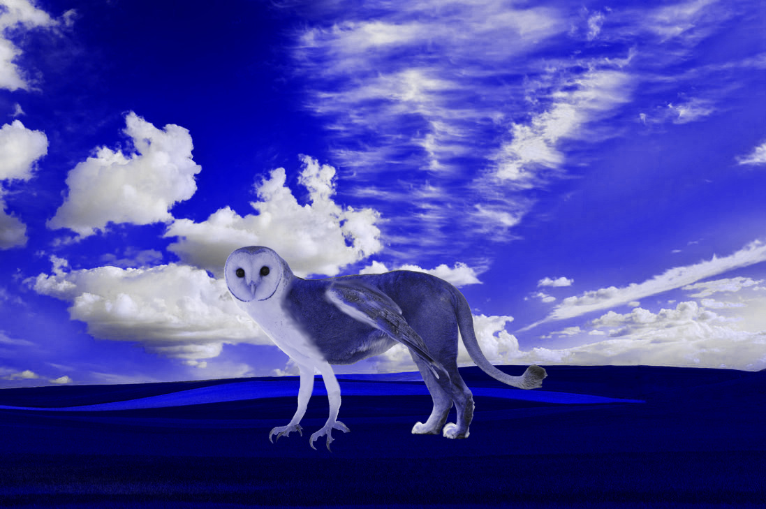 A Griffin in the Absurd World of Blue