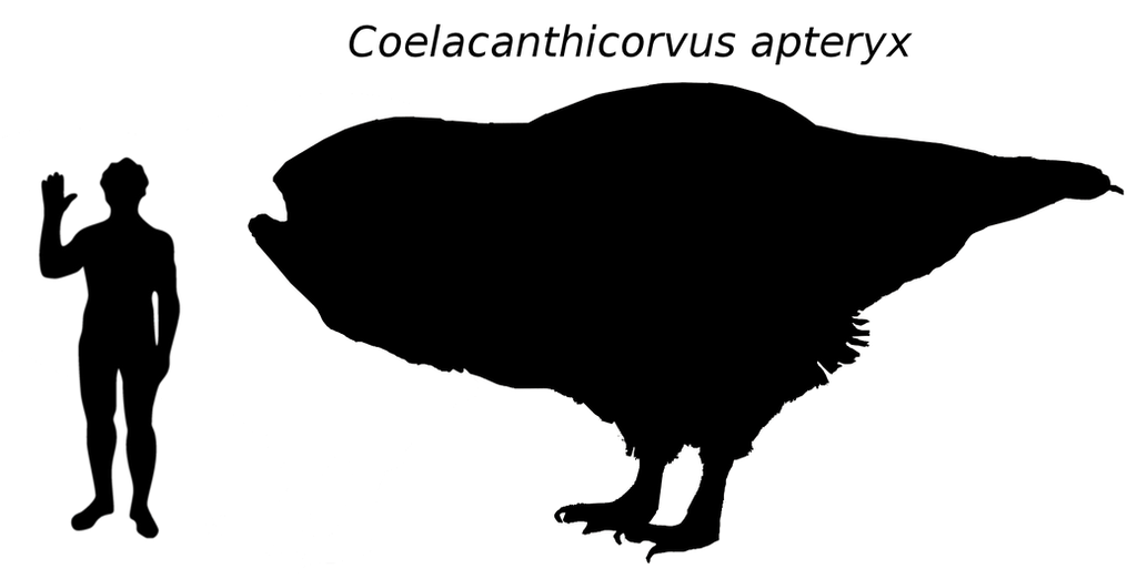 Size comparison: Cewijs of Neshlspik-Humans