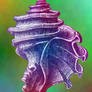An Interplanar Ecphora