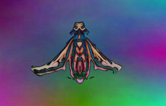 The Interplanar Moths