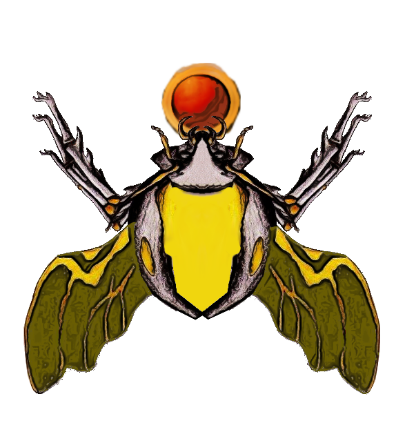 Golden Dussian Scarab by Jakeukalane Golden Dussian Scarab by Jakeukalane