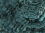 Fractal Silver (Chain Pong 00 #461)