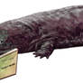 Salamandras lectoras