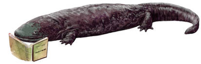 Salamandras lectoras