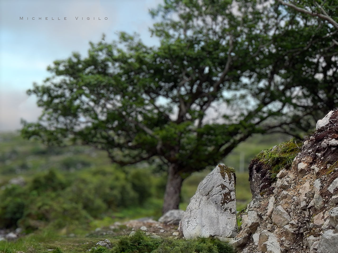 R Beautiful Roc Beautiful Rock by mvigilo on DeviantArt