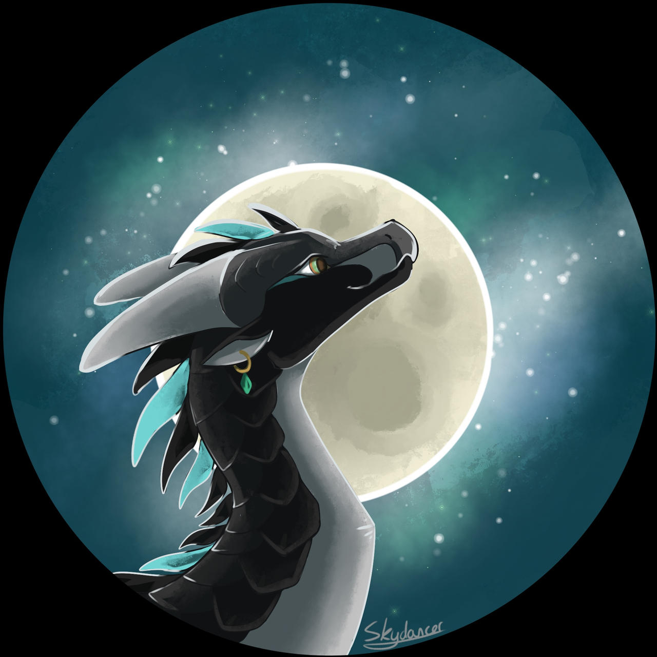 Stargazer by SkydancerDraws on DeviantArt