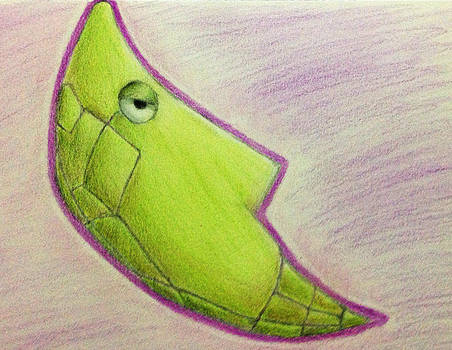 #11 - Metapod