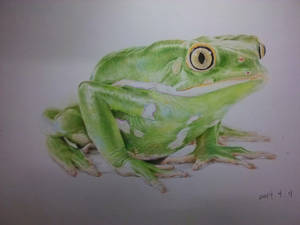 Frog