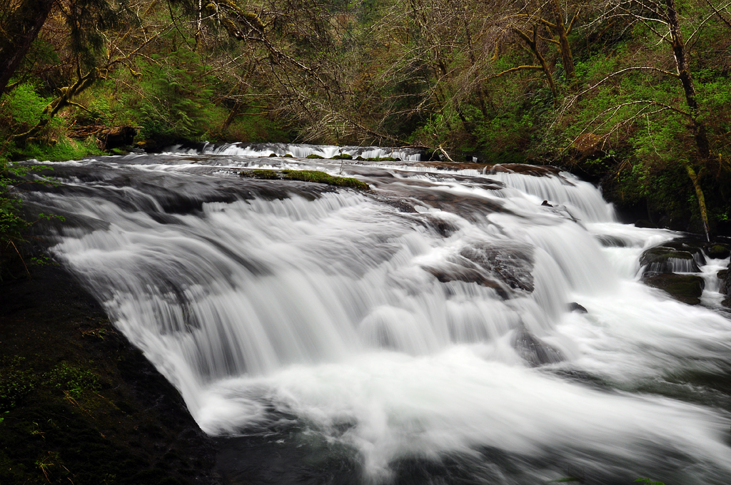 Sweet Creek