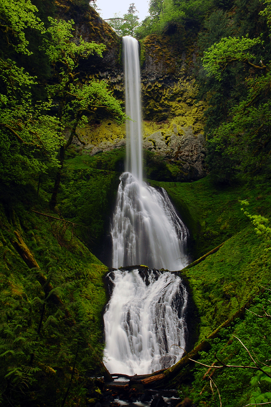 Pup Creek Falls