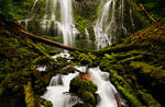 Bury My Heart at Proxy Falls by greglief