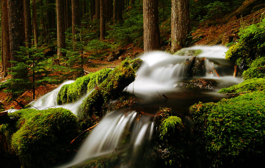 Near Pamelia Lake by greglief