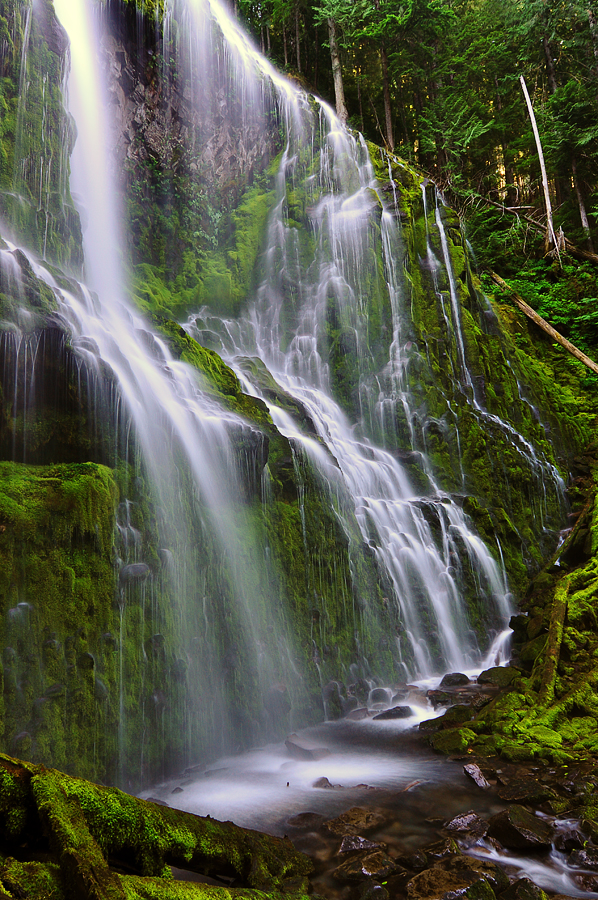 Proxy Falls, Study 2010-3L