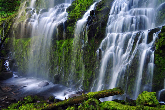 Proxy Falls, Study 2010-4R