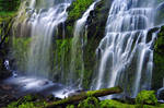 Proxy Falls, Study 2010-4R by greglief
