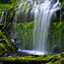 Proxy Falls, Study 2010-3R