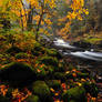Salmon River, Autumn Study